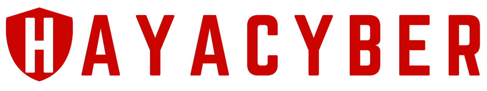 Hayacyber Logo